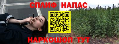 гидра Апрелевка