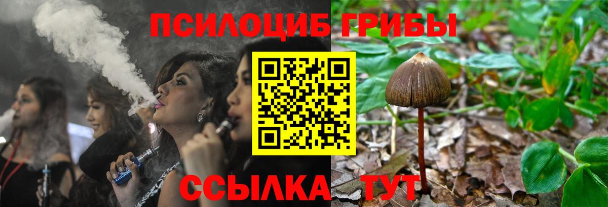 Галлюциногенные грибы Magic Shrooms Выкса