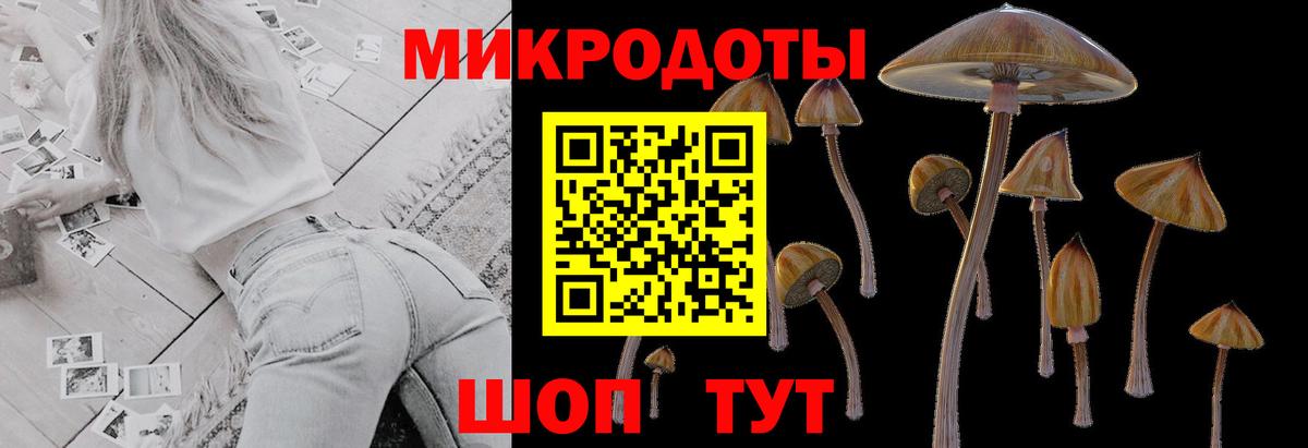 Выкса  Псилоцибиновые грибы мицелий  где продают   Вход с VPN 