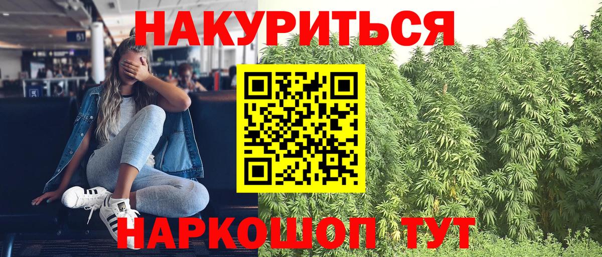 Шишки марихуана Amnesia  Вход с VPN  Марихуана Bruce Banner  Выкса  Бошки Шишки SATIVA & INDICA  Шишки марихуана тримм 